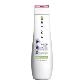 Shampoo Colorlast Biolage Purple (250 ml)