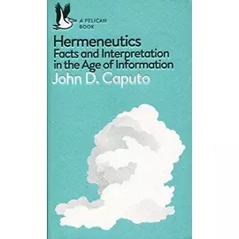 Hermeneutics: Facts And Interpretation In The Age Of Information