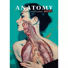 Kartolinë Anatomy Deluxe (1 copë)