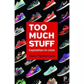 Too Much Stuff Capitalism In Crisis