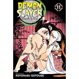 Demon Slayer Vol 11