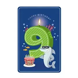 Happy Birthday 9 Boy - Greeting Card