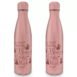 Disney Princess (thirsty Work) Metal Drinks Bottle