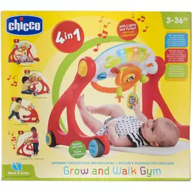 Chicco Toys First steps 4 in 1
