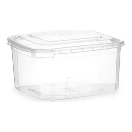 Lunch box Rectangular Transparent polypropylene (1000 ml)