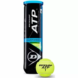 Kampionati i topave të tenisit D TB ATP Dunlop Pet 4