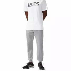 Pantallona të gjata sportive Asics Logo e madhe Grey Men, Madhësia: M