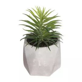 Decorative Plant Atmosphera 7 x 14 cm PVC