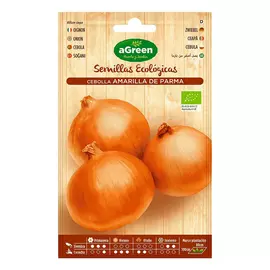 Seeds aGreen Ecological Onion