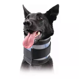 Cervical Collar for Dogs KVP Black (15-53 cm)