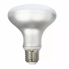 LED lamp Silver Electronics 999007 R90 E27 12W 3000K
