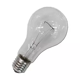 Incandescent bulb EDM industrial 3040 W E27