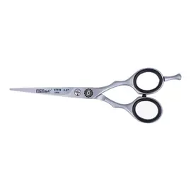 Hair scissors Loyal Eurostil 5,5"