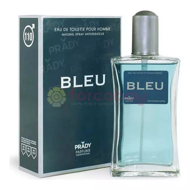 Parfum për meshkuj Bleu 110 Prady Parfums EDT (100 ml)