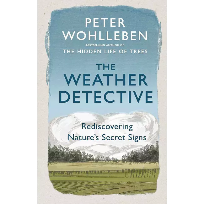 The Weather Detective