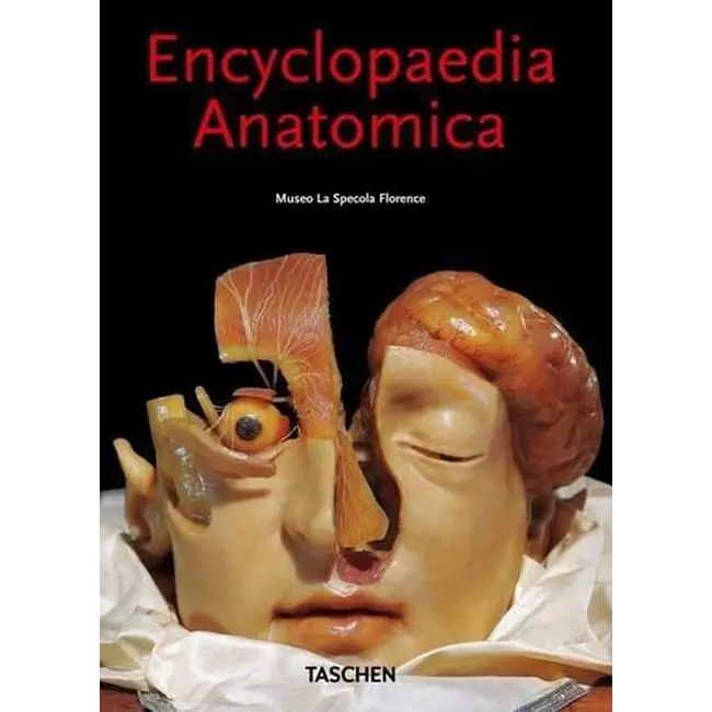 Enciklopedia Anatomica