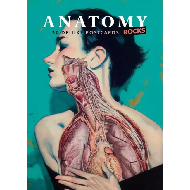 Anatomy Deluxe Postcard (1 Piece)