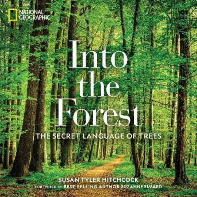 Into The Forest - The Secret Language Of Trees