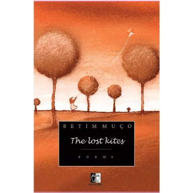 The Lost Kites