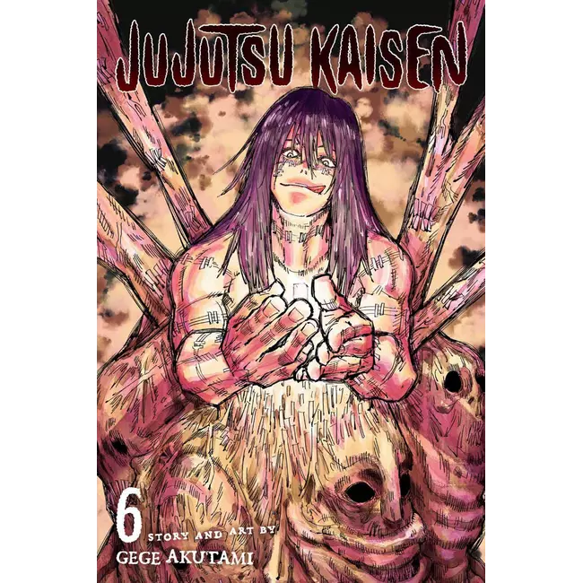 Jujutsu Kaisen Vol. 06