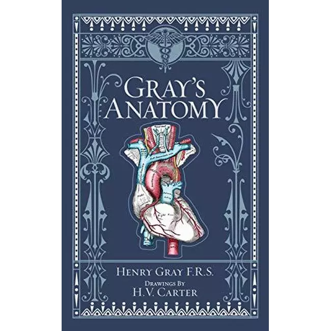 Gray's Anatomy (special Edition)