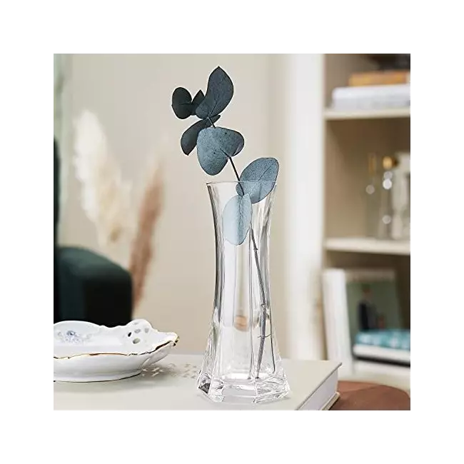 Capitol glass vase